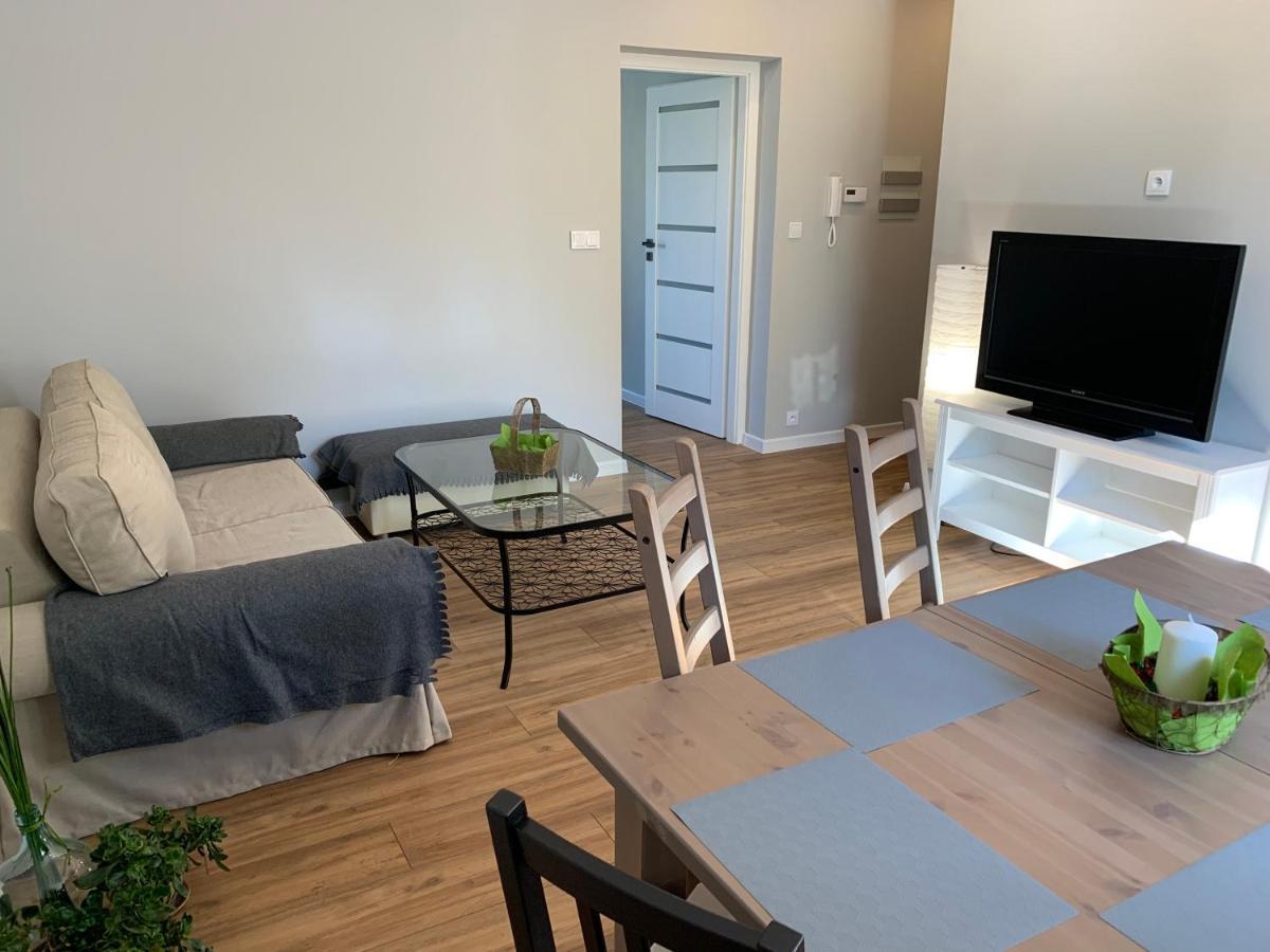 Grey Apartment 50 M2 Tarnowskie Góry Exterior foto